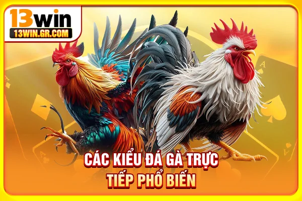 Các kiểu đá gà trực tiếp phổ biến