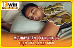 Mơ thấy trăn