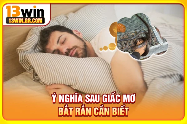 Ý nghĩa sau giấc mơ bắt rắn cần biết